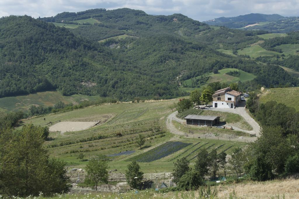 B&B Villa Rossana Langhirano Bagian luar foto