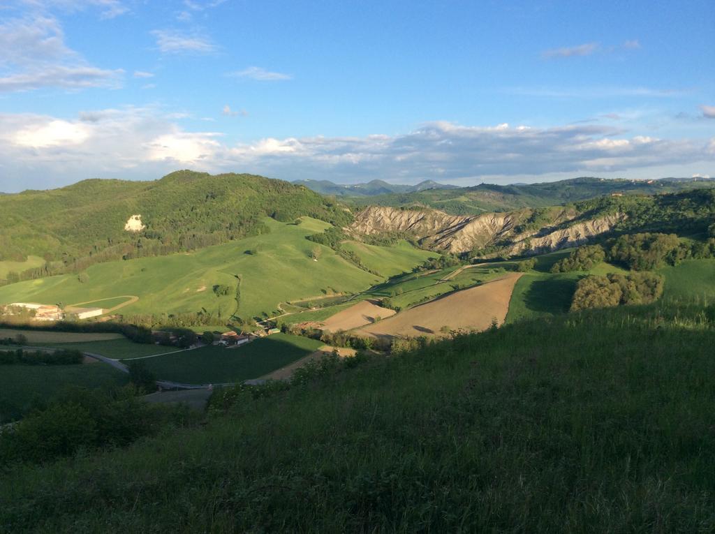 B&B Villa Rossana Langhirano Bagian luar foto