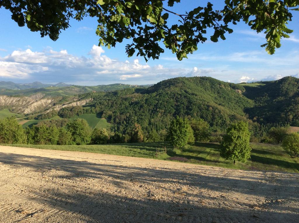 B&B Villa Rossana Langhirano Bagian luar foto