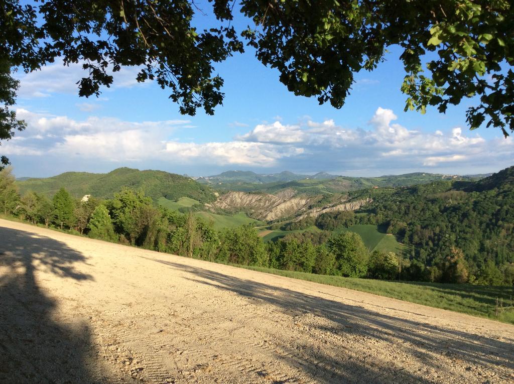 B&B Villa Rossana Langhirano Bagian luar foto