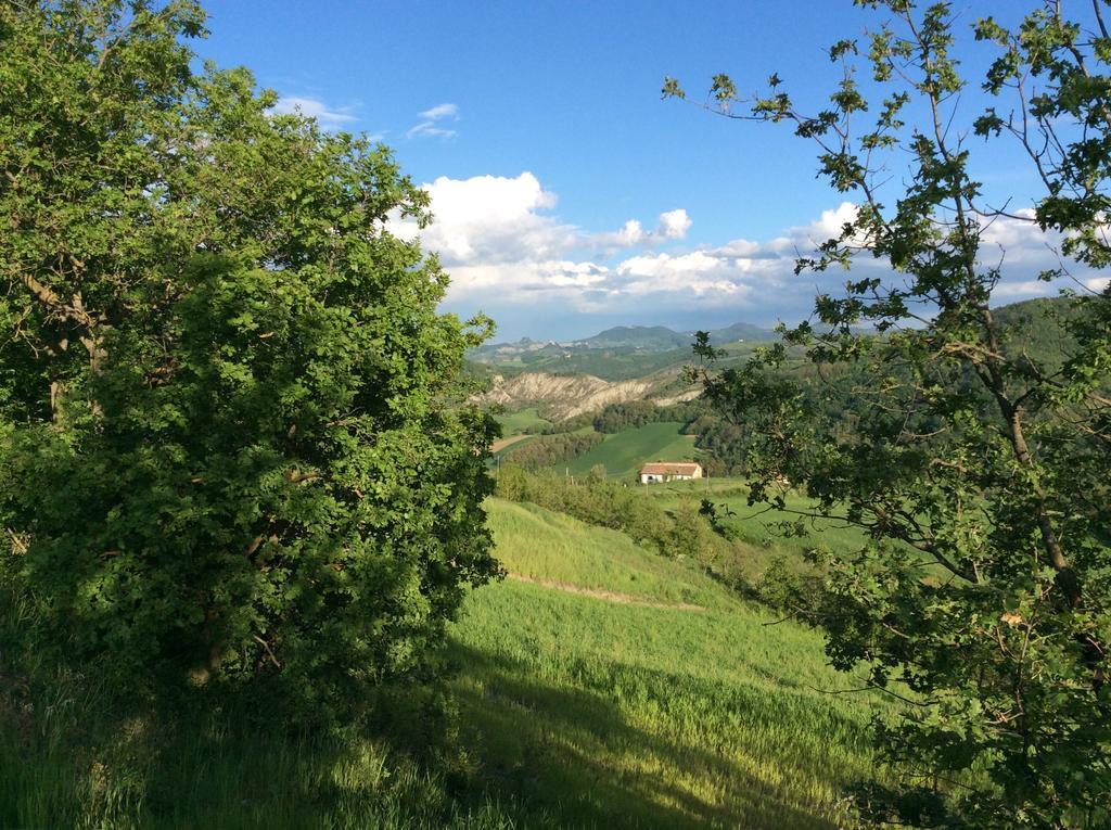 B&B Villa Rossana Langhirano Bagian luar foto