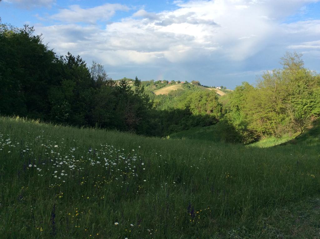 B&B Villa Rossana Langhirano Bagian luar foto