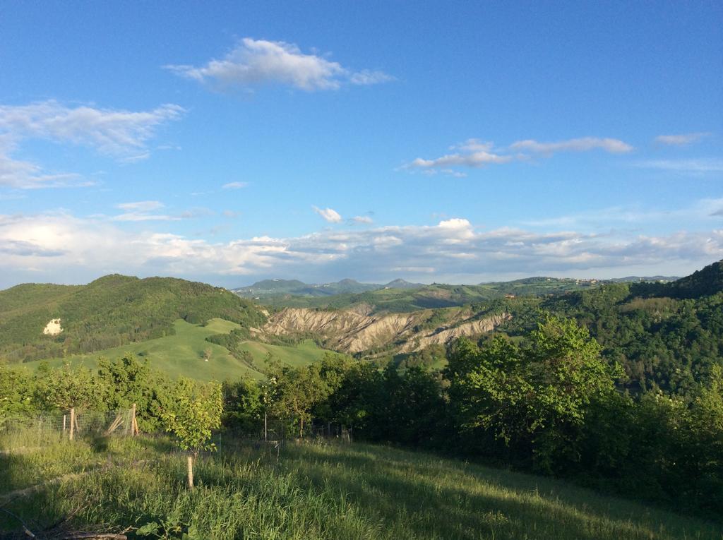 B&B Villa Rossana Langhirano Bagian luar foto